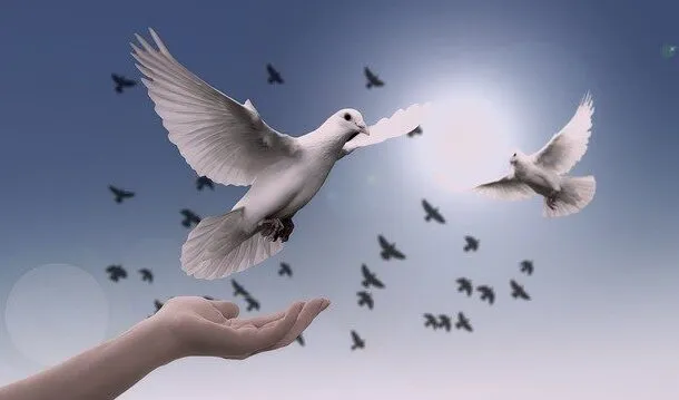Mridha International Institute of Peace & Happiness